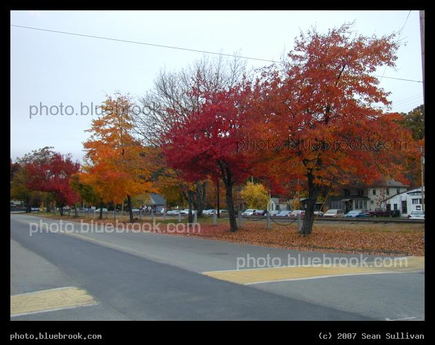 Shirley Median - Autumn trees along a median in downtown Shirley, MA