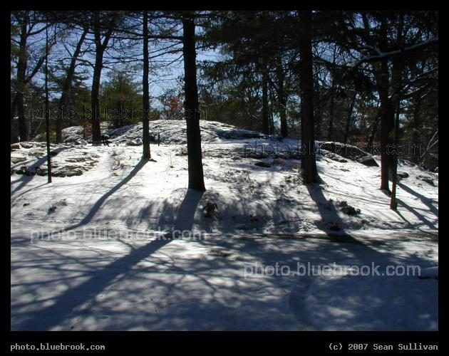 Shadows on the Snow - Winter at Pine Banks park, Malden/Melrose MA
