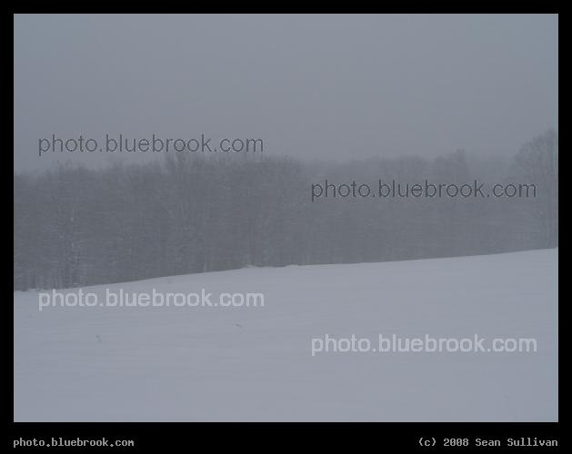 Brrrrrr! - A view across a field in western Massachusetts, during a snowstorm