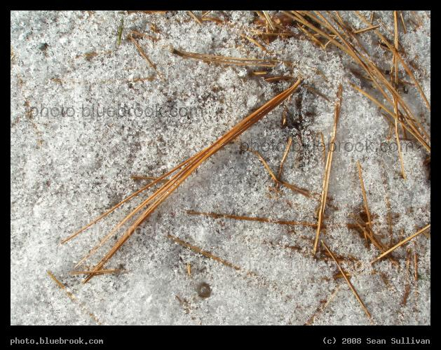 Needles and Crystals - Pine needles and snow crystals decorating the ground in western Massachusetts
