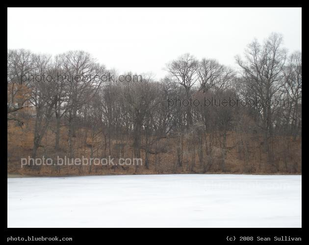 Frozen Kettle - Ice covers Wards Pond, a glacial kettle pond now located on the Muddy River, Jamaica Plain MA