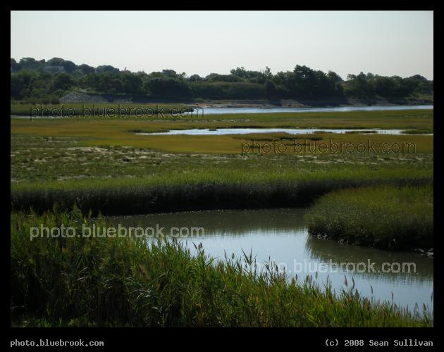 Belle Isle Marsh - A view across the marsh, Belle Isle Reservation, Boston MA