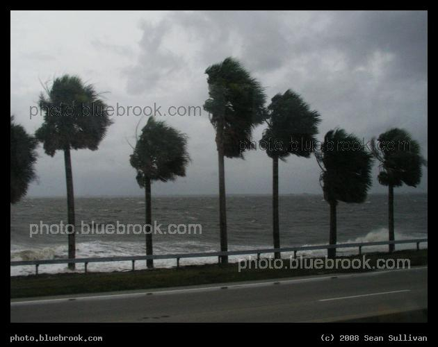 Hurricane Dennis - In the outer bands of Hurricane Dennis (2005) along the Gulf coast, Bradenton FL