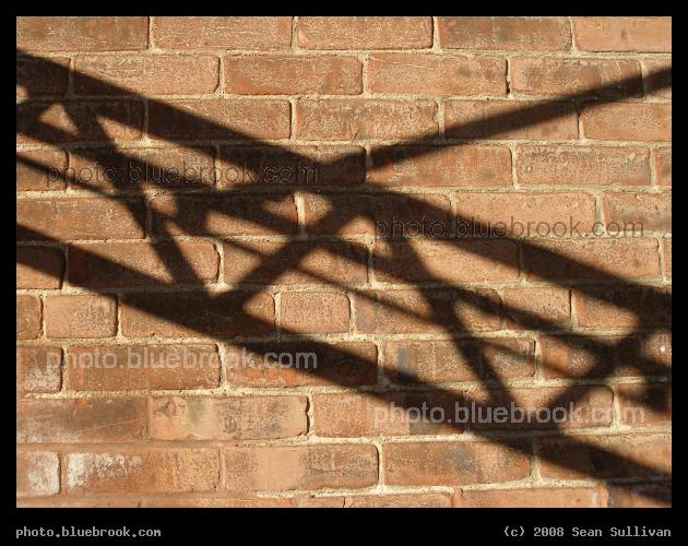 Shadows on the Wall - A shadow on a brick wall, Northampton MA