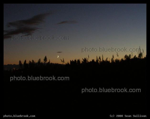 Moon over Grasses - The crescent moon and Venus shine above tall grasses at the Mystic Valley Reservation, Medford MA