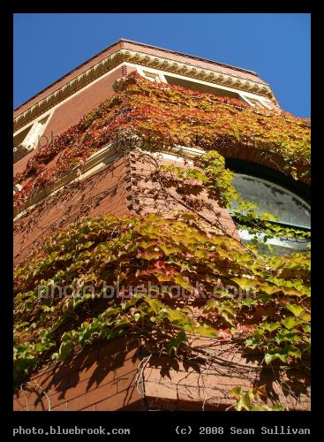 Ivy Tower - An ivy-covered building alongside the Neponset River, Boston MA