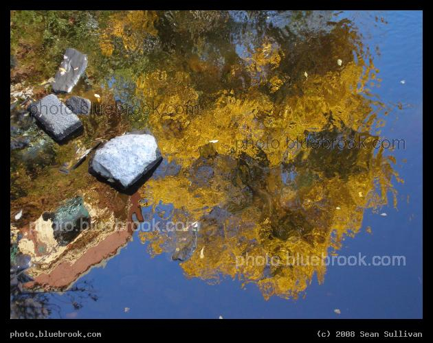 Upon Reflection - Autumn reflection of a tree and building in the Neponset River, Milton Village, Boston MA