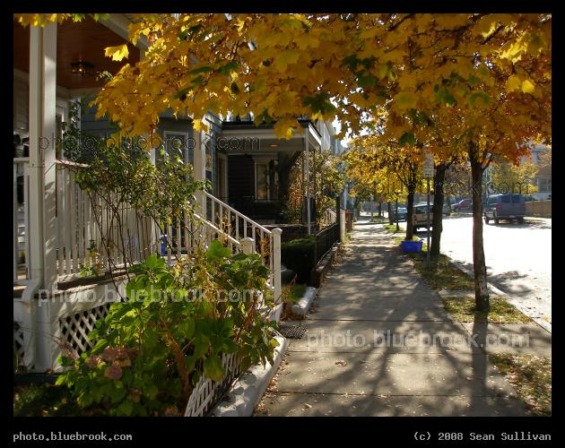 Autumn Sidewalk - Somerville MA
