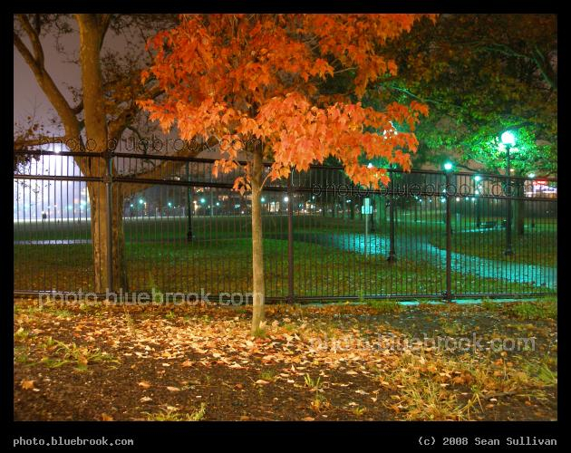 Night Leaves - East Boston Memorial Park, adjacent to the Airport MBTA subway station, East Boston MA