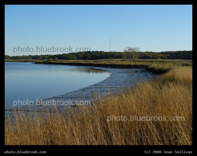 Neponset Riverbank - Neponset River Marshes Reservation, Boston MA