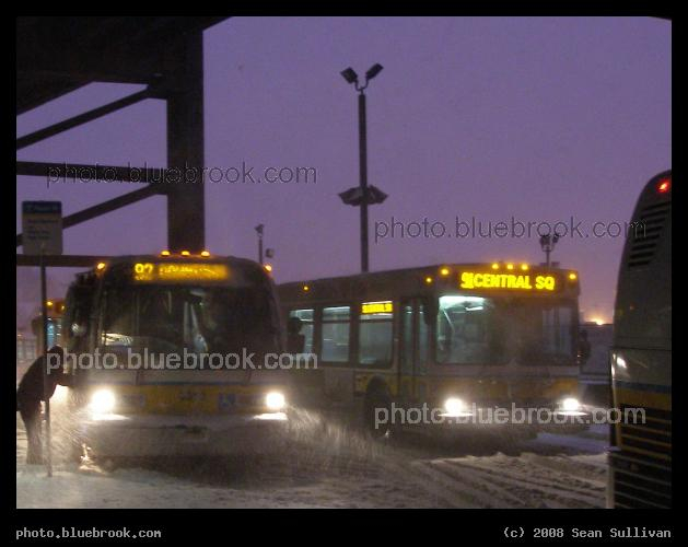 Buses in a Snowstorm - MBTA buses in the upper busway at Sullivan Square station in a snowstorm, Charlestown MA