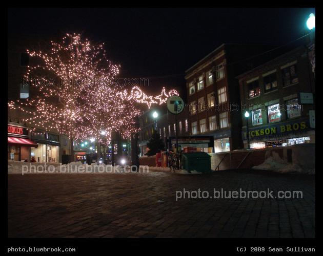 Brattle Lights - Holiday lights at Harvard Square, as seen from the plaza outside the Brattle Street entrance to the Harvard MBTA subway station