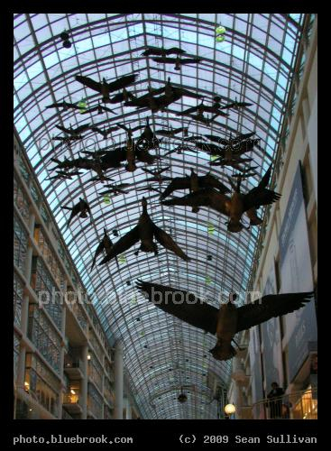 Unexpected Geese - An art exhibit ('Flightstop' by Michael Snow) seen against skylights in the Eaton Centre, Toronto
