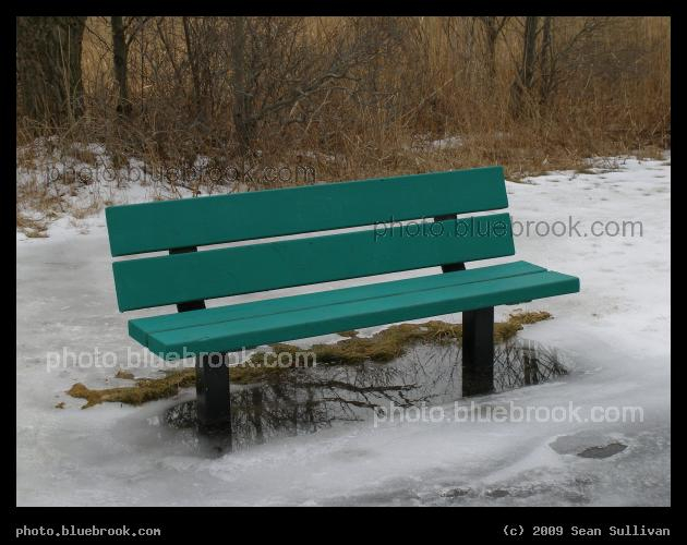 Wet Feet - A park bench during winter at Belle Isle Reservation, East Boston MA