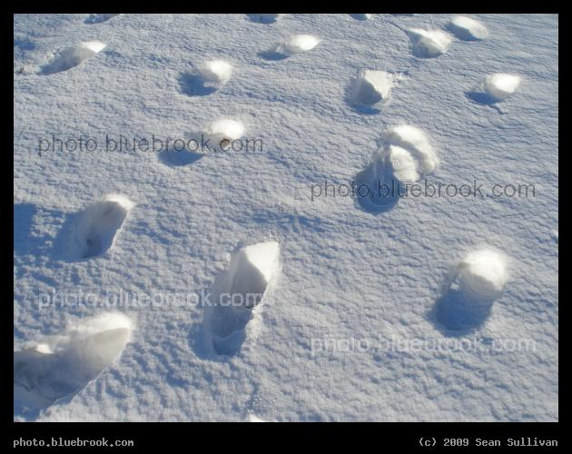 Footprints in the Snow - Lewiston ME