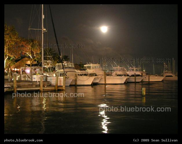 Moonrise on Biscayne Bay - Coconut Grove, FL