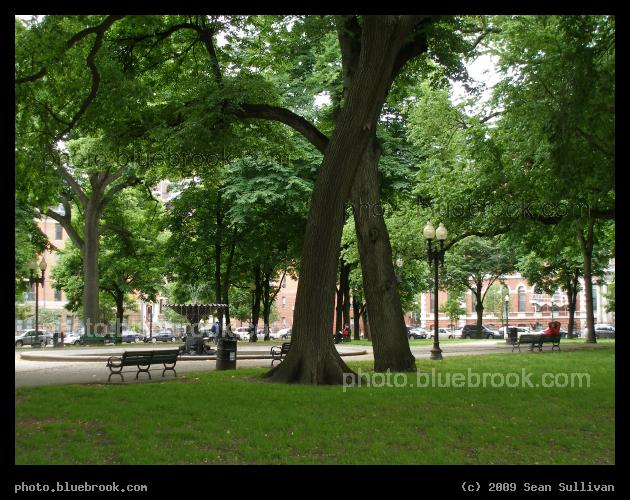 Franklin Square - Boston MA