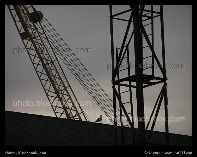 Crane and Ladder - Charlestown Navy Yard, Charlestown MA
