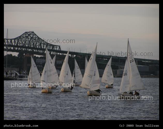 Flock of Boats - On Boston Harbor, with the Tobin Bridge in the background