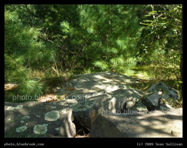 Sun-Dappled Rocks - At Great Blue Hill in the Blue Hills Reservation, Milton MA