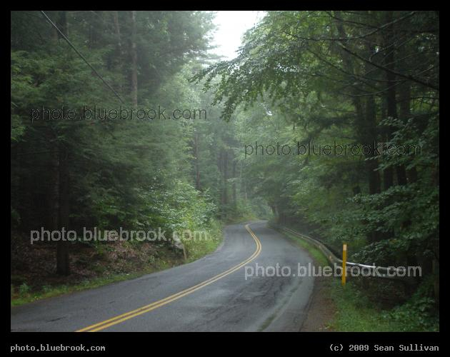 Misty Road - Amherst MA