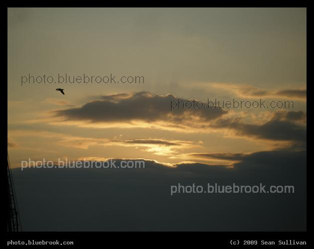 Evening Cloudbank - Quincy MA