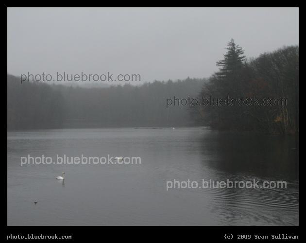 Misty Lake - Hager Pond, Marlborough MA