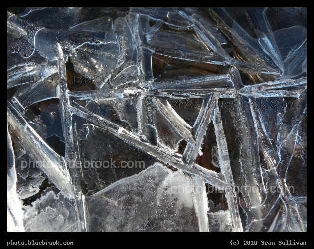 Frozen Angles - Ice crystals on the Charles River riverbank in the Cambridgeport district, Cambridge MA
