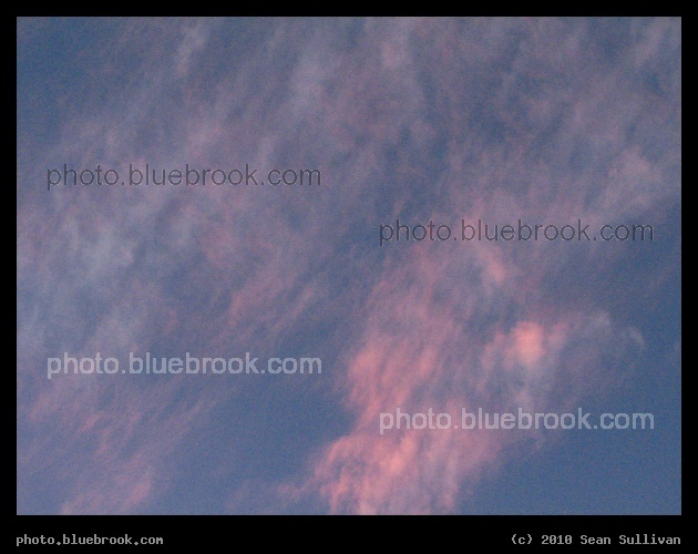 Cotton Candy Clouds - Looking overhead near sunset, Cambridge MA