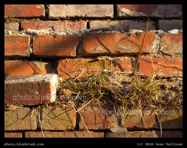Bricks and Grass - Lowell MA