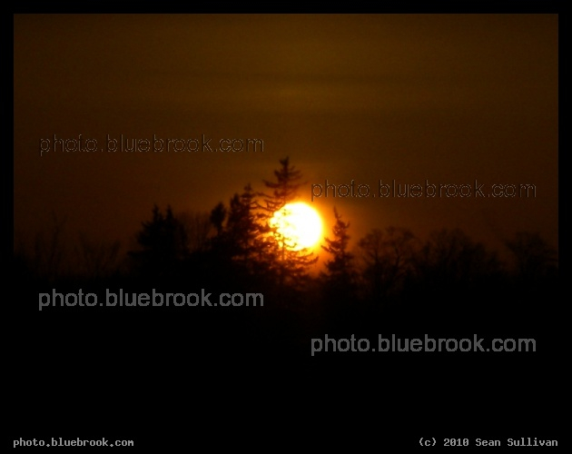 Sunset on the Treeline - Portsmouth NH