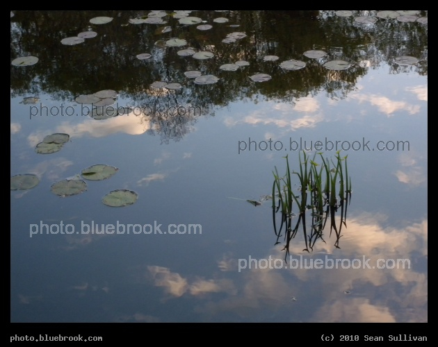 Grass and Clouds, Reflected - Winchester MA