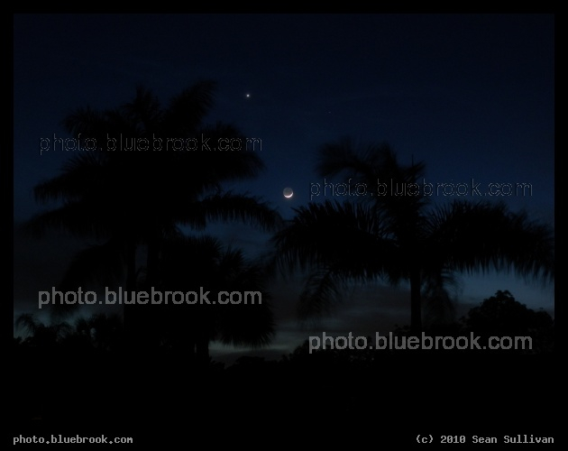 Indigo Moonset - The crescent Moon and Venus setting over palm trees in evening twilight, Indian Harbour Beach FL