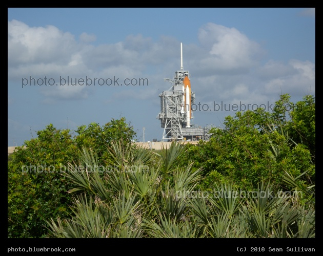 Atlantis and Palmettos - A side view of space shuttle Atlantis (STS-132) at Kennedy Space Center launch pad 39-A, as seen from an access road alongside the Atlantic Ocean.  The shuttle is enclosed under the Rotating Service Structure, with only the external tank and SRB visible.