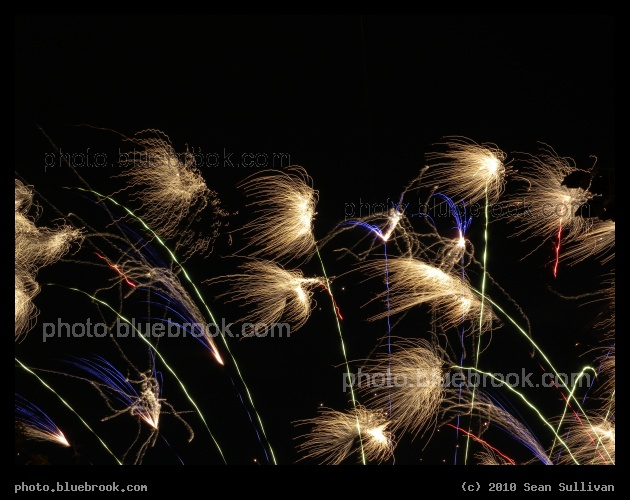 Alien Foliage - 2010 fireworks in Somerville MA