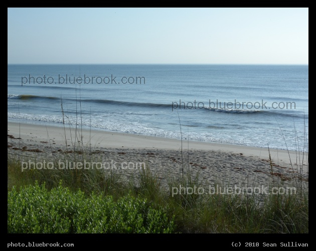 Shore - Satellite Beach, FL
