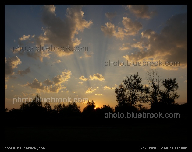 Happy Sunset - MacDonald Park, Mystic River Reservation, Medford MA