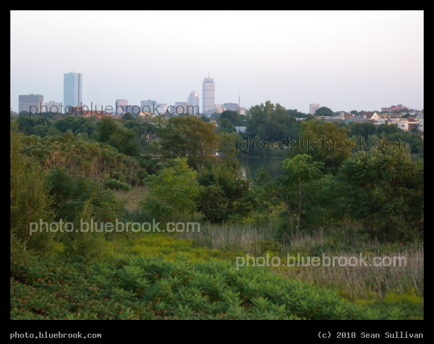 View from a Tower - A view towards Boston from a lookout tower in the Mystic River Reservation, Medford MA