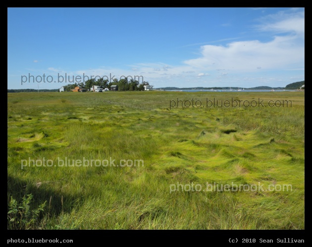 Sea of Grass - Marshland near the mouth of the Essex River on the west side of Conomo Point, Essex MA