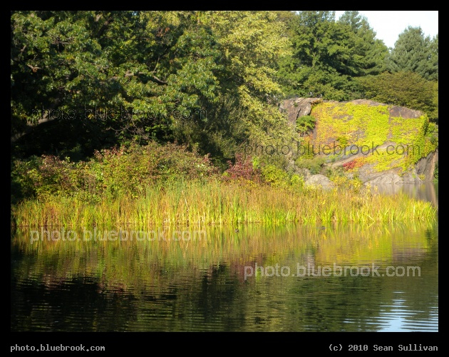 Early Autumn at Turtle Pond - Turtle Pond in Central Park, New York City