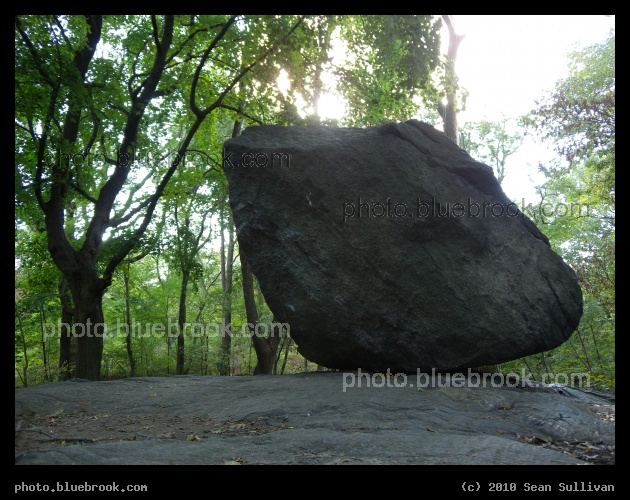 Resting Boulder - The Ramble in Central Park, New York City