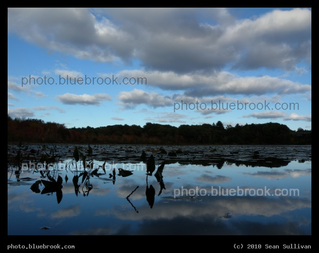October Sky - Hammond Pond, Newton MA