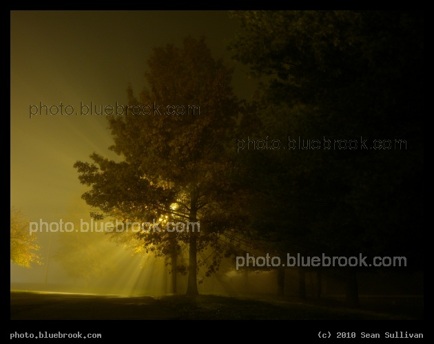 Rays through Fog - A foggy evening in Carlisle, PA