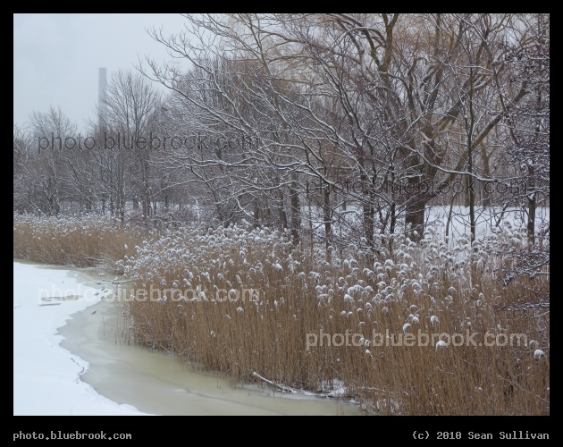 Winter on the Mystic - Mystic River Reservation, Somerville MA