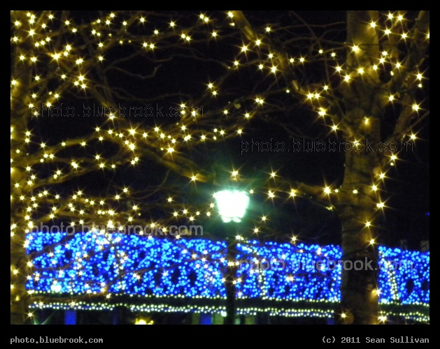 Festive Stars - Holiday decorations at Christopher Columbus Park, Boston MA