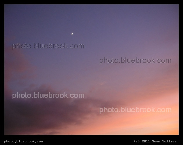 Sunlit Silence - The crescent moon above evening clouds, Bradenton FL