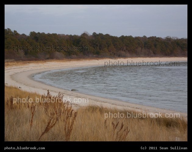 Kiptopeke Beach - Shoreline of the Chesapeake Bay, Kiptopeke State Park, Virginia