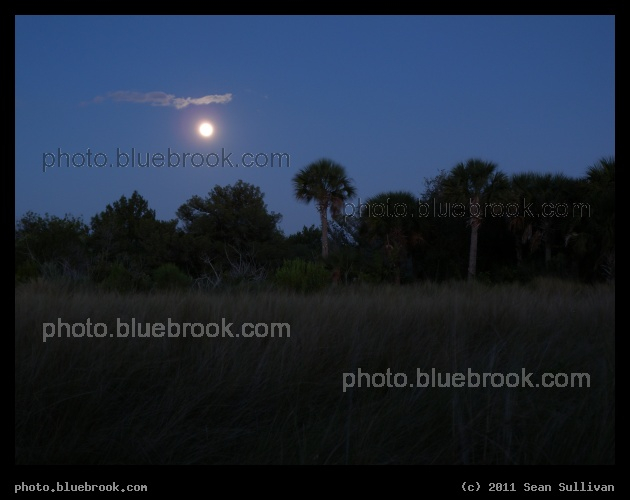 Moon over Florida - Merritt Island Wildlife Refuge, FL