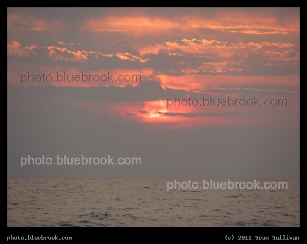 Rosy Luminescence - Gulf of Mexico at sunset, Sarasota FL