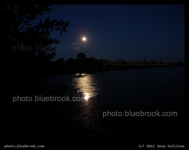 Merritt Island Moonrise - The full moon rising over the Indian River south of the Haulover Canal, Merritt Island National Wildlife Refuge, FL